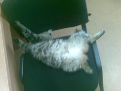 Прикрепленное изображение: 07092011.jpg